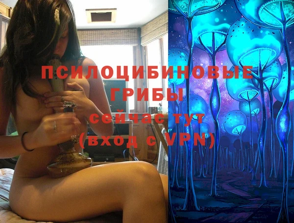 PSILOCYBIN Калининец