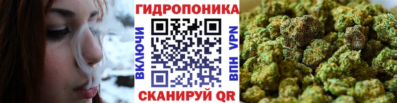 блэк спрут как зайти  цена   Закаменск  Конопля MAZAR 